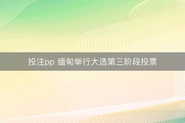 投注pp 缅甸举行大选第三阶段投票