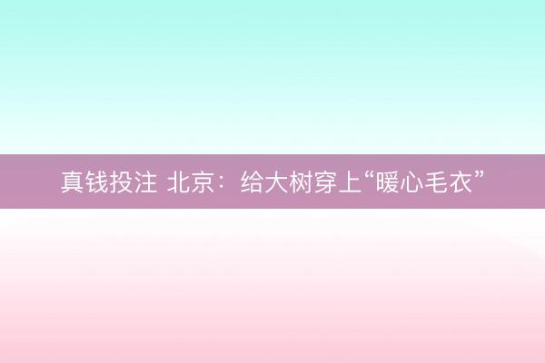 真钱投注 北京：给大树穿上“暖心毛衣”