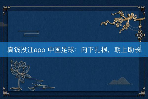 真钱投注app 中国足球:向下扎根,朝上助长