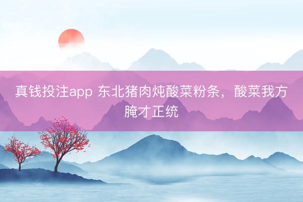 真钱投注app 东北猪肉炖酸菜粉条,酸菜我方腌才正统
