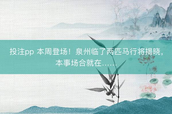 投注pp 本周登场！泉州临了两匹马行将揭晓，本事场合就在……