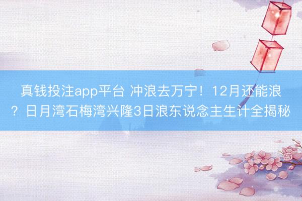 真钱投注app平台 冲浪去万宁！12月还能浪？日月湾石梅湾兴隆3日浪东说念主生计全揭秘