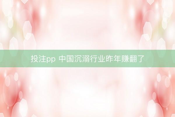 投注pp 中国沉溺行业昨年赚翻了