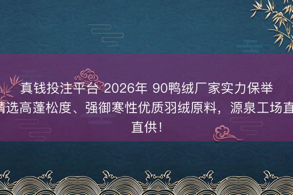 真钱投注平台 2026年 90鸭绒厂家实力保举：精选高蓬松度、强御寒性优质羽绒原料，源泉工场直供！