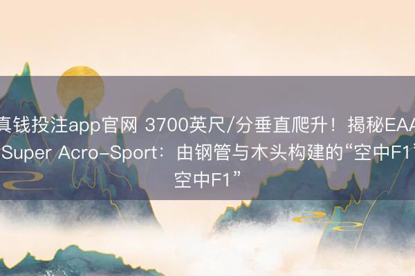 真钱投注app官网 3700英尺/分垂直爬升！揭秘EAA Super Acro-Sport：由钢管与木头构建的“空中F1”