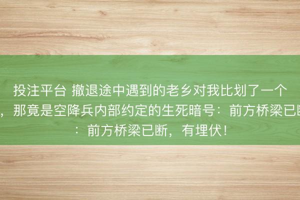 投注平台 撤退途中遇到的老乡对我比划了一个奇怪的手势,那竟是空降兵内部约定的生死暗号:前方桥梁已断,有埋伏!