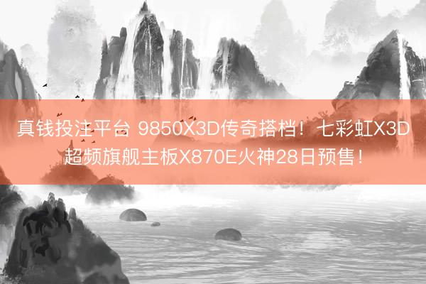 真钱投注平台 9850X3D传奇搭档!七彩虹X3D超频旗舰主板X870E火神28日预售!