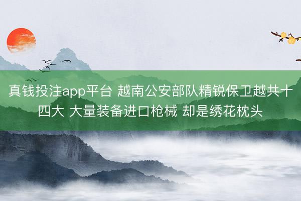 真钱投注app平台 越南公安部队精锐保卫越共十四大 大量装备进口枪械 却是绣花枕头
