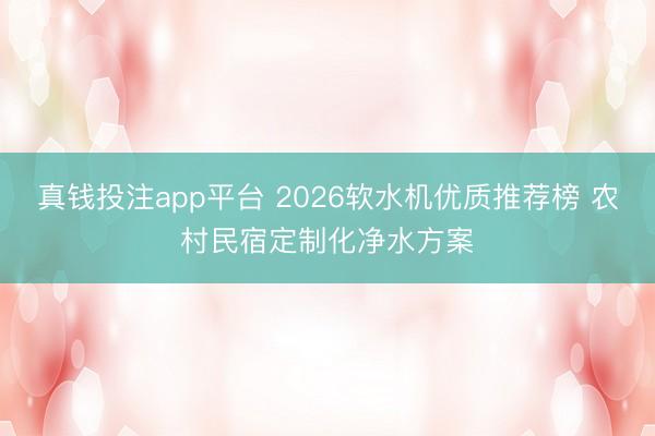 真钱投注app平台 2026软水机优质推荐榜 农村民宿定制化净水方案