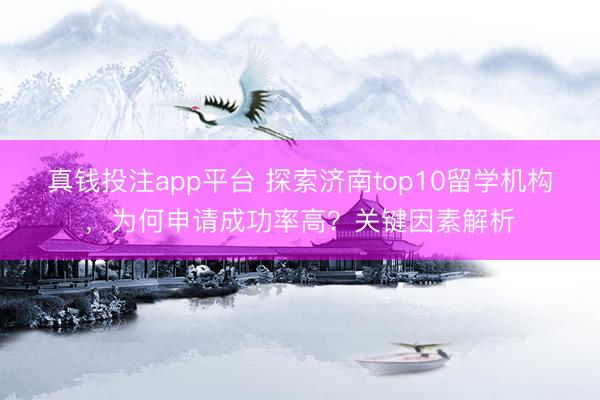 真钱投注app平台 探索济南top10留学机构，为何申请成功率高？关键因素解析