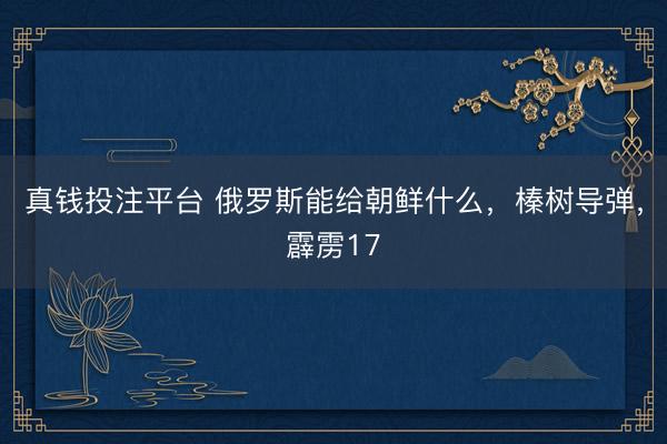 真钱投注平台 俄罗斯能给朝鲜什么,榛树导弹,霹雳17