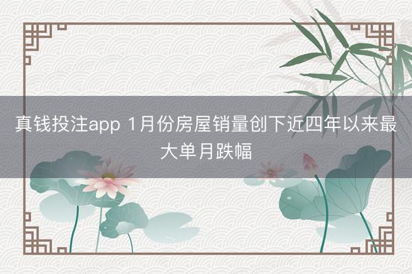 真钱投注app 1月份房屋销量创下近四年以来最大单月跌幅
