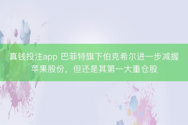 真钱投注app 巴菲特旗下伯克希尔进一步减握苹果股份，但还是其第一大重仓股