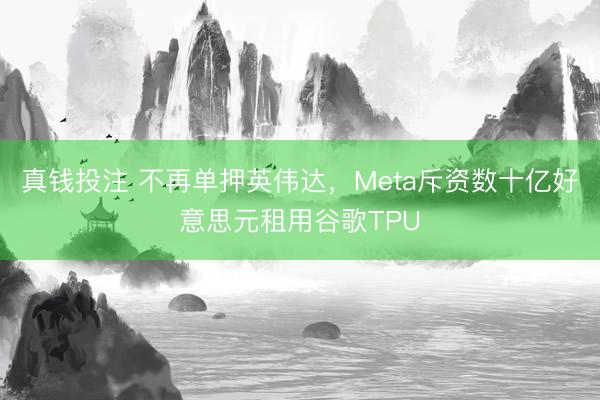 真钱投注 不再单押英伟达,Meta斥资数十亿好意思元租用谷歌TPU
