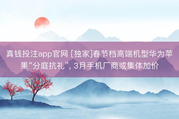 真钱投注app官网 [独家]春节档高端机型华为苹果“分庭抗礼”， 3月手机厂商或集体加价