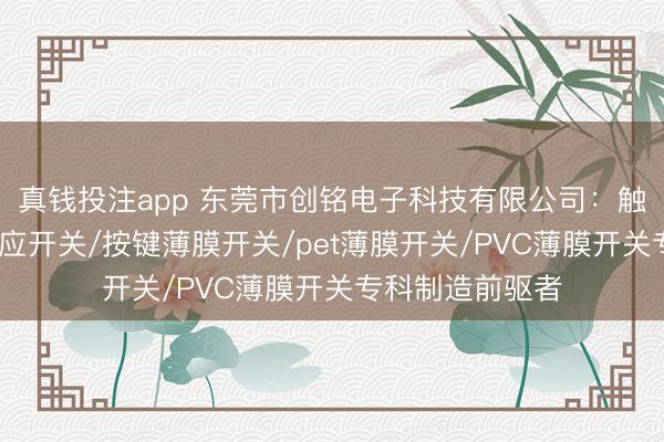 真钱投注app 东莞市创铭电子科技有限公司:触摸开关/薄膜感应开关/按键薄膜开关/pet薄膜开关/PVC薄膜开关专科制造前驱者