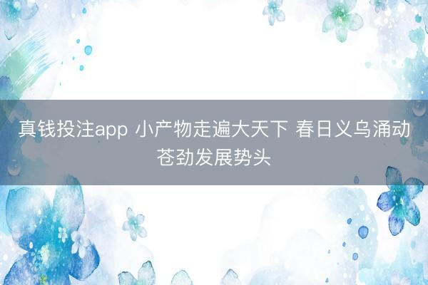 真钱投注app 小产物走遍大天下 春日义乌涌动苍劲发展势头