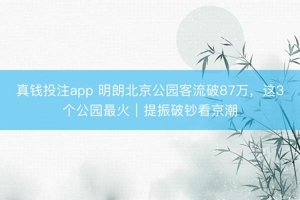 真钱投注app 明朗北京公园客流破87万，这3个公园最火｜提振破钞看京潮