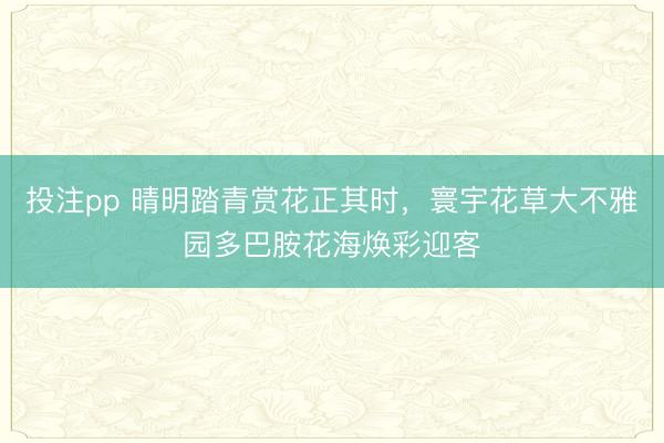 投注pp 晴明踏青赏花正其时，寰宇花草大不雅园多巴胺花海焕彩迎客