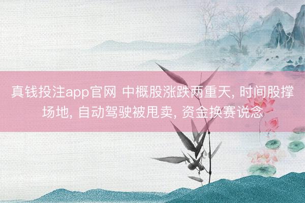 真钱投注app官网 中概股涨跌两重天, 时间股撑场地, 自动驾驶被甩卖, 资金换赛说念