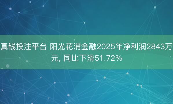 真钱投注平台 阳光花消金融2025年净利润2843万元, 同比下滑51.72%
