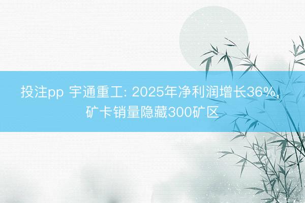 投注pp 宇通重工: 2025年净利润增长36%， 矿卡销量隐藏300矿区
