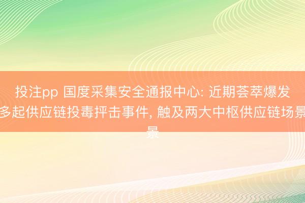 投注pp 国度采集安全通报中心: 近期荟萃爆发多起供应链投毒抨击事件， 触及两大中枢供应链场景