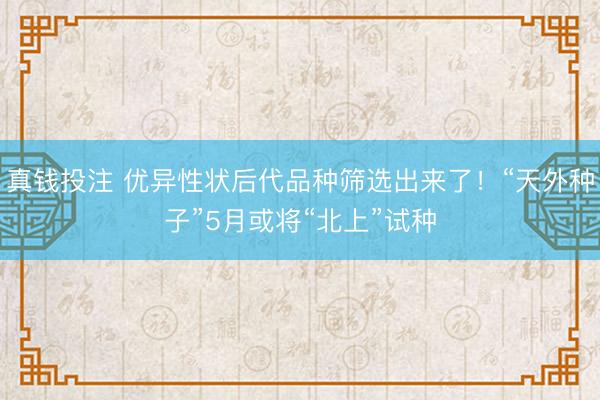 真钱投注 优异性状后代品种筛选出来了！“天外种子”5月或将“北上”试种