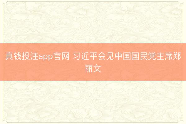真钱投注app官网 习近平会见中国国民党主席郑丽文
