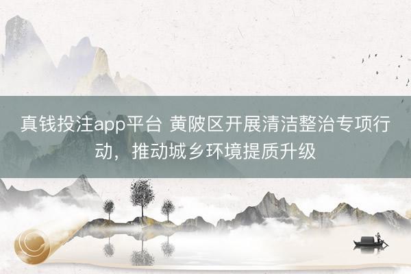 真钱投注app平台 黄陂区开展清洁整治专项行动，推动城乡环境提质升级
