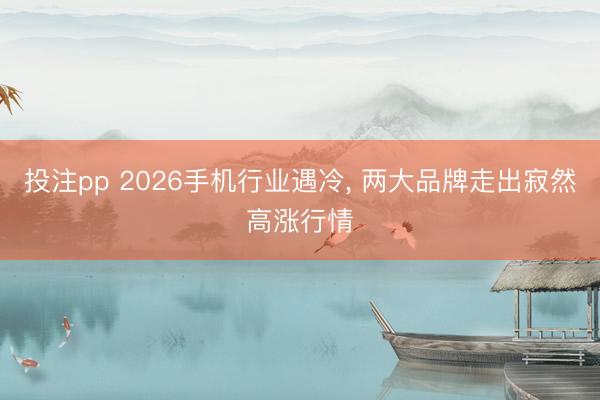 投注pp 2026手机行业遇冷， 两大品牌走出寂然高涨行情