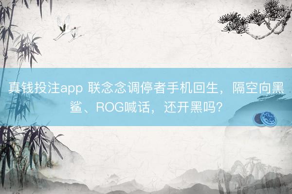 真钱投注app 联念念调停者手机回生，隔空向黑鲨、ROG喊话，还开黑吗？