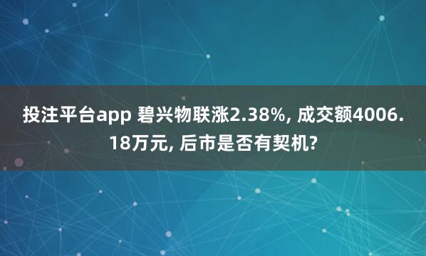投注平台app 碧兴物联涨2.38%， 成交额4006.18万元， 后市是否有契机?