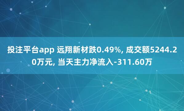 投注平台app 远翔新材跌0.49%， 成交额5244.20万元， 当天主力净流入-311.60万
