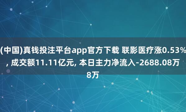 (中国)真钱投注平台app官方下载 联影医疗涨0.53%, 成交额11.11亿元, 本日主力净流入-2688.08万