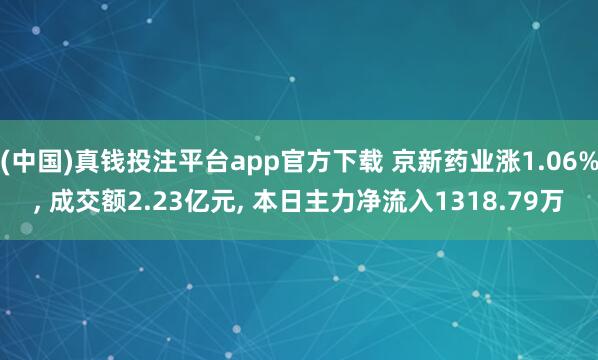 (中国)真钱投注平台app官方下载 京新药业涨1.06%， 成交额2.23亿元， 本日主力净流入1318.79万
