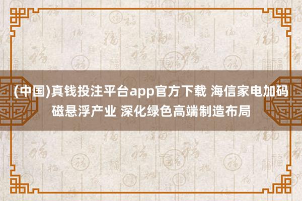 (中国)真钱投注平台app官方下载 海信家电加码磁悬浮产业 深化绿色高端制造布局