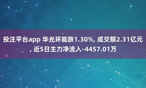 投注平台app 华光环能跌1.30%， 成交额2.31亿元， 近5日主力净流入-4457.01万