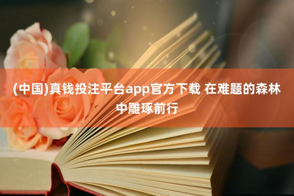 (中国)真钱投注平台app官方下载 在难题的森林中雕琢前行