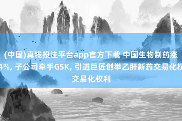 (中国)真钱投注平台app官方下载 中国生物制药涨超4%， 子公司牵手GSK， 引进巨匠创举乙肝新药交易化权利