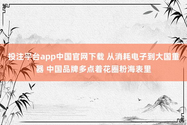 投注平台app中国官网下载 从消耗电子到大国重器 中国品牌多点着花圈粉海表里