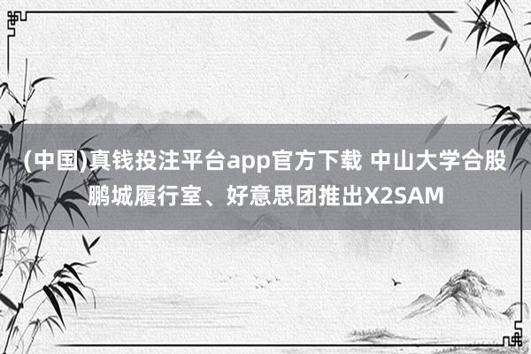 (中国)真钱投注平台app官方下载 中山大学合股鹏城履行室、好意思团推出X2SAM