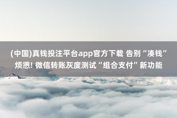 (中国)真钱投注平台app官方下载 告别“凑钱”烦懑! 微信转账灰度测试“组合支付”新功能