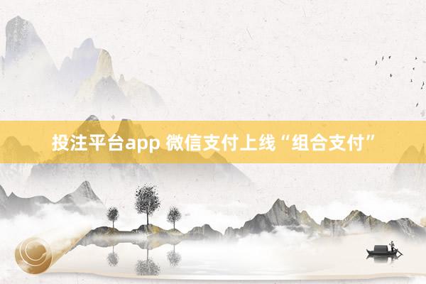 投注平台app 微信支付上线“组合支付”