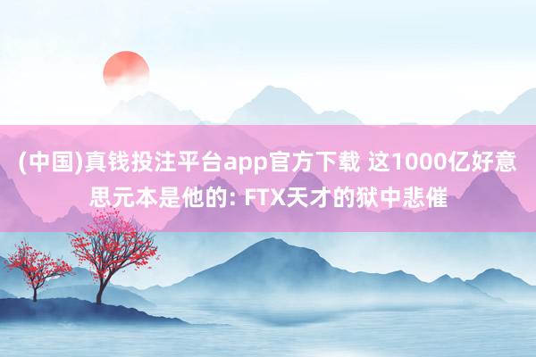 (中国)真钱投注平台app官方下载 这1000亿好意思元本是他的: FTX天才的狱中悲催