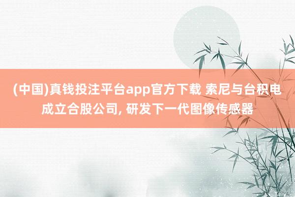 (中国)真钱投注平台app官方下载 索尼与台积电成立合股公司， 研发下一代图像传感器