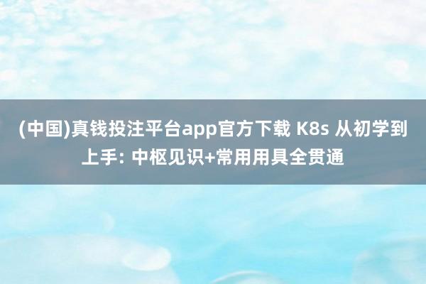(中国)真钱投注平台app官方下载 K8s 从初学到上手: 中枢见识+常用用具全贯通