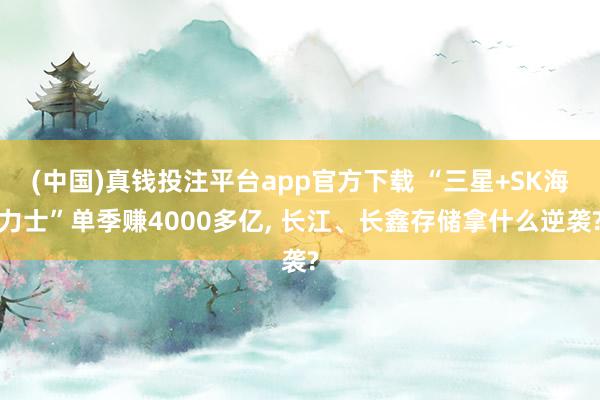 (中国)真钱投注平台app官方下载 “三星+SK海力士”单季赚4000多亿， 长江、长鑫存储拿什么逆袭?