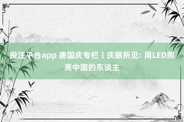投注平台app 唐国庆专栏丨庆眼所见: 用LED照亮中国的东谈主