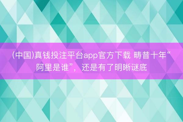 (中国)真钱投注平台app官方下载 畴昔十年“阿里是谁”,还是有了明晰谜底